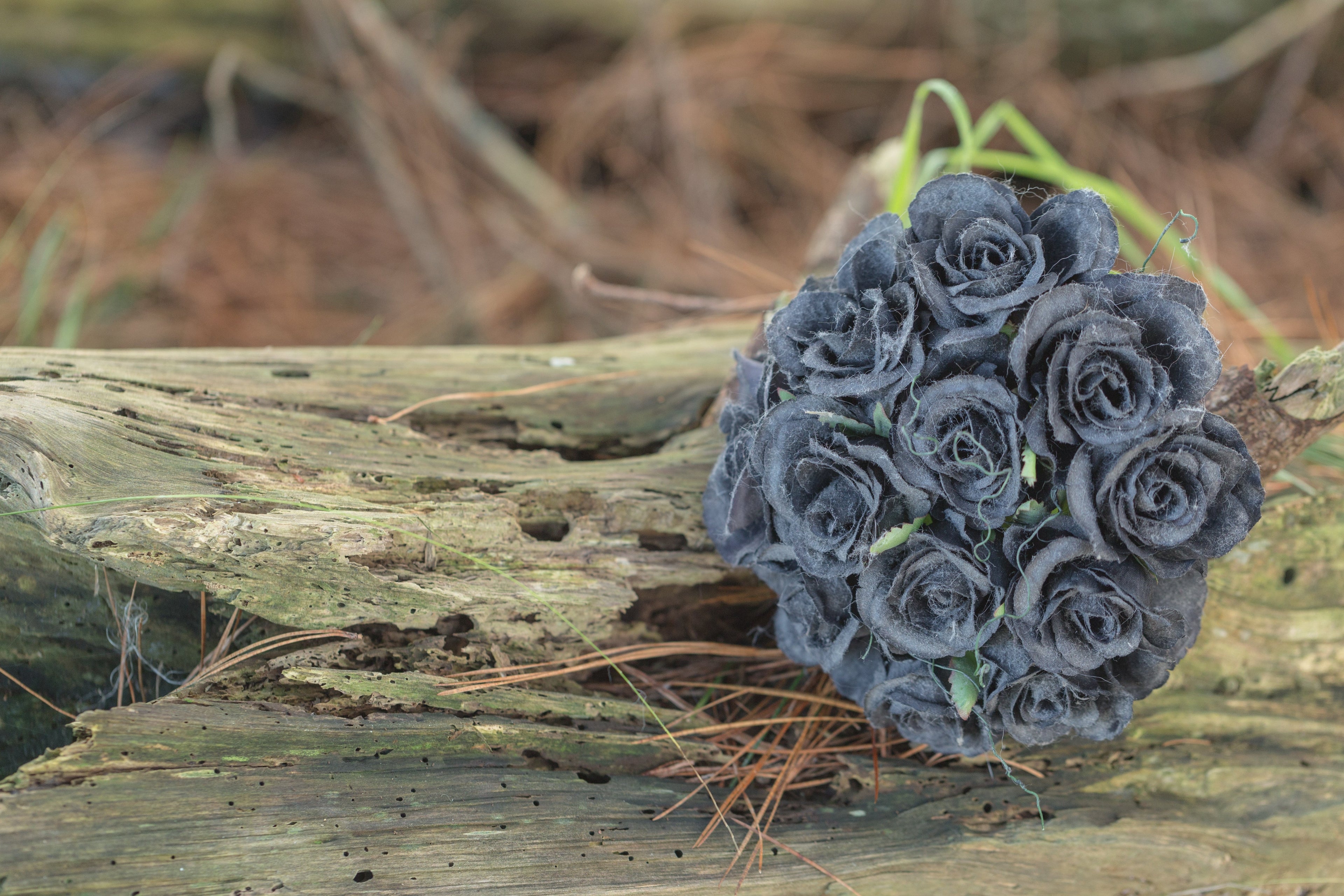 BUKET (I) ZA MUŠKARCE