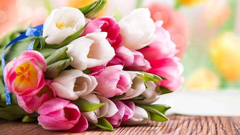 •	Buket od tulipana